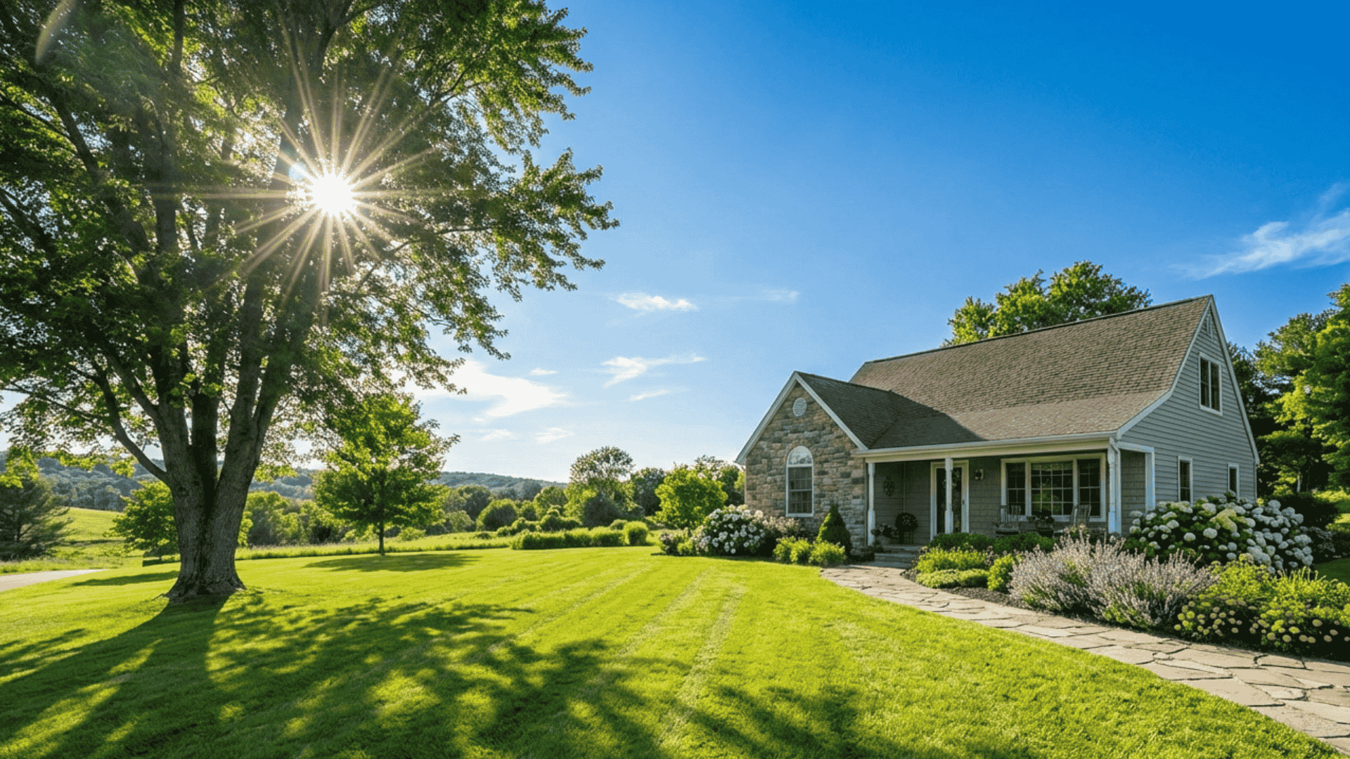 Beautiful lawn maintained by Clippy's Lawn